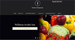 Desktop Screenshot of anderschiro.com