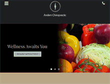 Tablet Screenshot of anderschiro.com